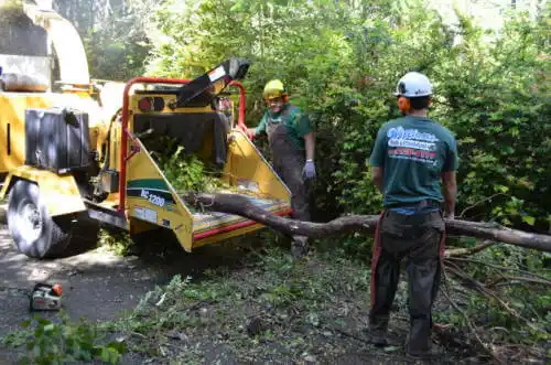 tree services Lovejoy